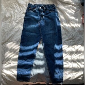 American Eagle Maxi Skirt